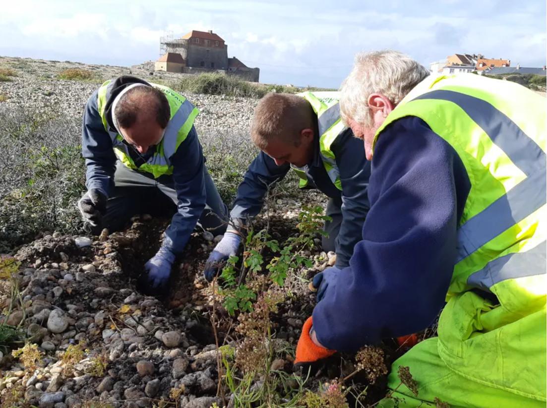 Ambleteuse : des travaux de restauration, pour éviter l'asphyxie de l'estuaire de la Slack