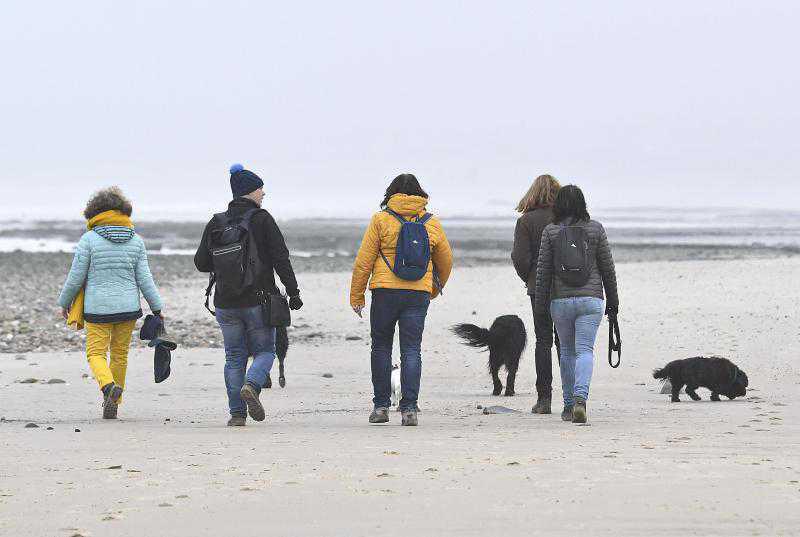 À Tardinghen, une randonnée salée entre terre et mer   À Tardinghen, une randonnée salée entre terre et mer
