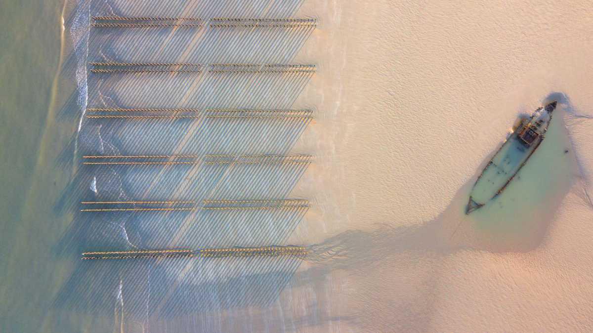 Les photos époustouflantes de l’épave d’un chalutier échoué sur la plage de Tardinghen depuis 104 ans Les photos époustouflantes de l’épave d’un chalutier échoué sur la plage de Tardinghen depuis 104 ans