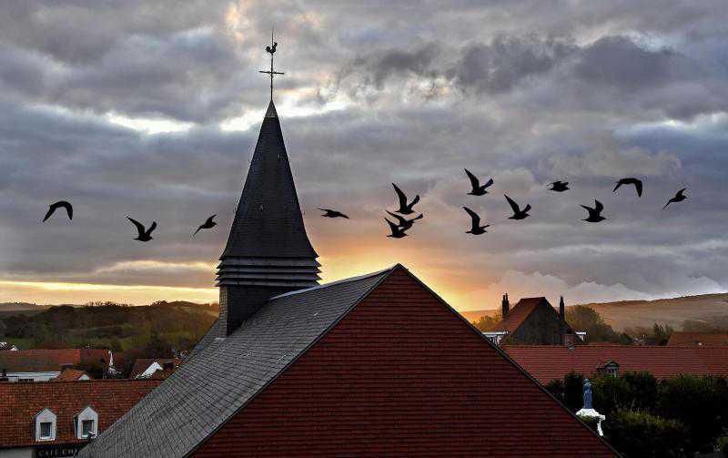 Destination Wissant, une perle sauvage entre les deux caps Destination Wissant, une perle sauvage entre les deux caps