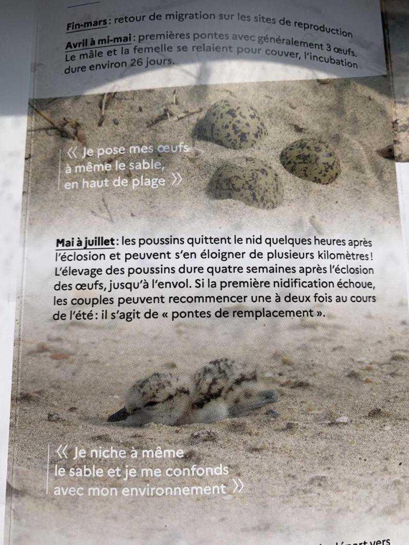 Pourquoi j’ai été interpellée par la police... de l’environnement