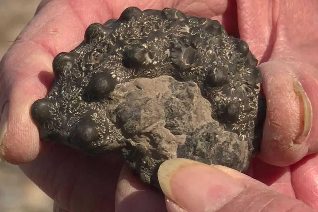 Le Parc naturel régional des Caps et Marais d'Opale candidat au label mondial Géoparc Le Parc naturel régional des Caps et Marais d'Opale candidat au label mondial Géoparc