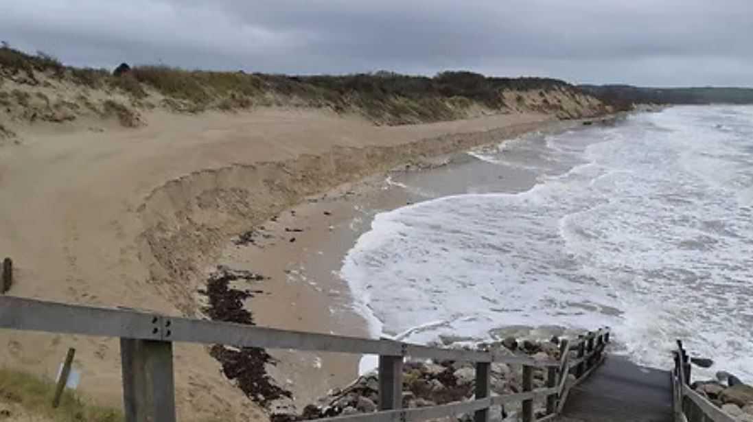 Côte d'Opale : des sapins de Noël recyclés pour fixer les dunes Côte d'Opale : des sapins de Noël recyclés pour fixer les dunes