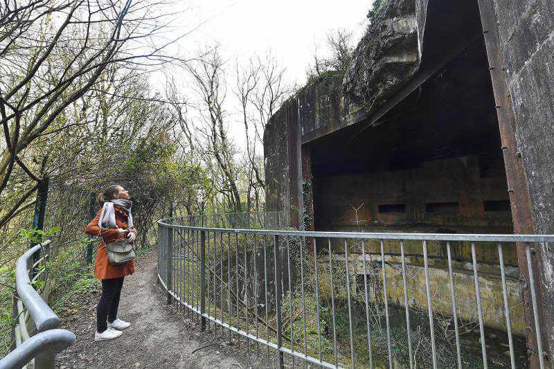Côte d’Opale : le sentier du bois d’Haringzelles, vestige de la guerre Côte d’Opale : le sentier du bois d’Haringzelles, vestige de la guerre