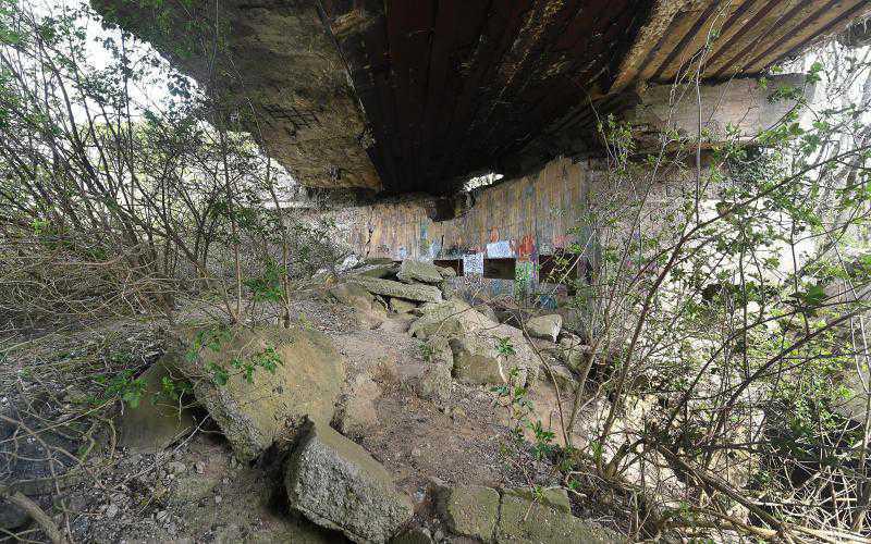 Côte d’Opale : le sentier du bois d’Haringzelles, vestige de la guerre Côte d’Opale : le sentier du bois d’Haringzelles, vestige de la guerre