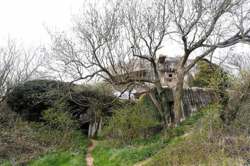 Côte d’Opale : le sentier du bois d’Haringzelles, vestige de la guerre