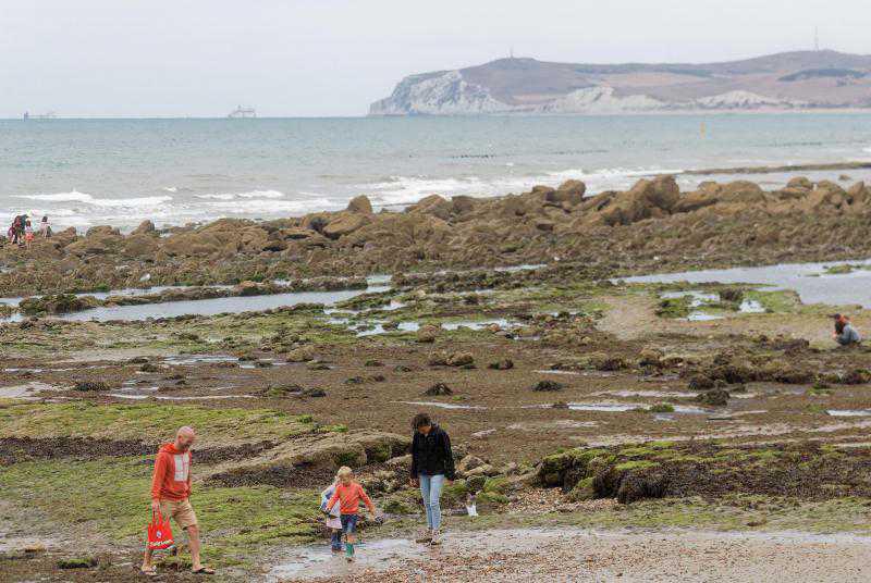 Balades nature: à vélo ou à pied, cap sur le Blanc-Nez et le Gris-Nez! Balades nature: à vélo ou à pied, cap sur le Blanc-Nez et le Gris-Nez!