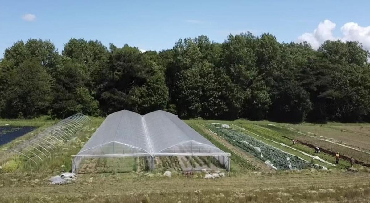 Les belles adresses de la Côte d'Opale