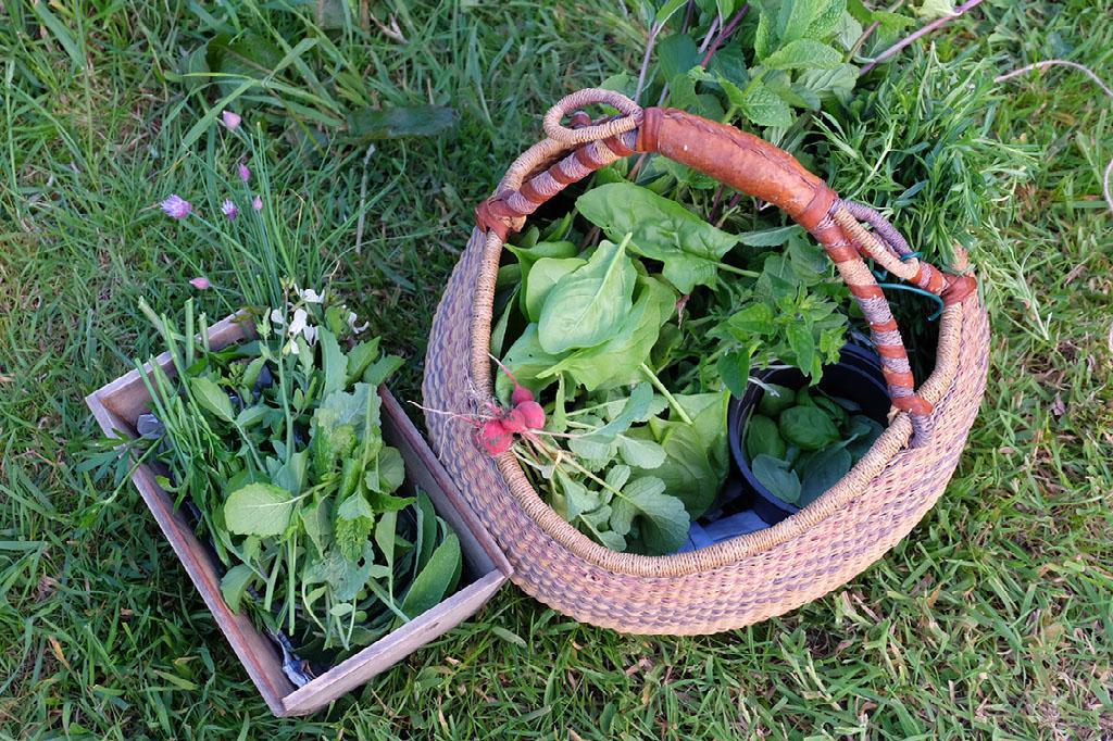 Les Jardins Intrépides: la reprise au vert assurée ! Les Jardins Intrépides: la reprise au vert assurée !