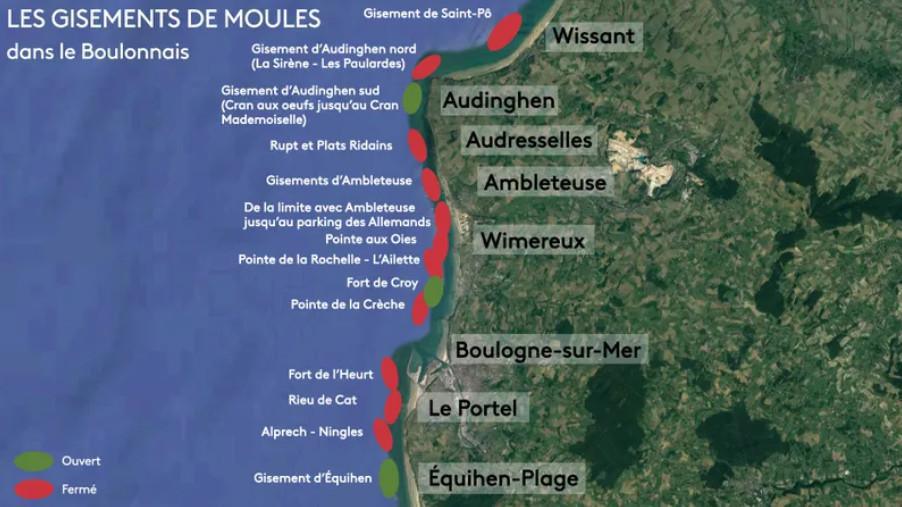 Pêche aux moules interdite sur certains gisements du littoral Pêche aux moules interdite sur certains gisements du littoral