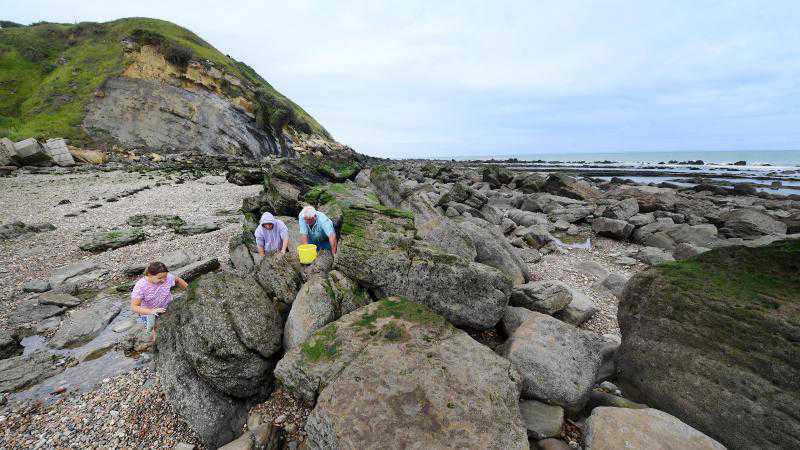 Balade naturaliste au cap Gris-Nez, pour une plongée dans le Jurassique Balade naturaliste au cap Gris-Nez, pour une plongée dans le Jurassique