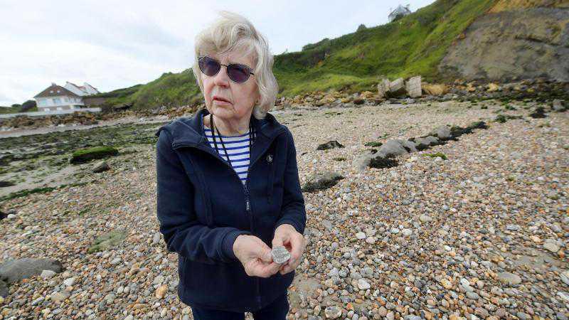 Balade naturaliste au cap Gris-Nez, pour une plongée dans le Jurassique Balade naturaliste au cap Gris-Nez, pour une plongée dans le Jurassique