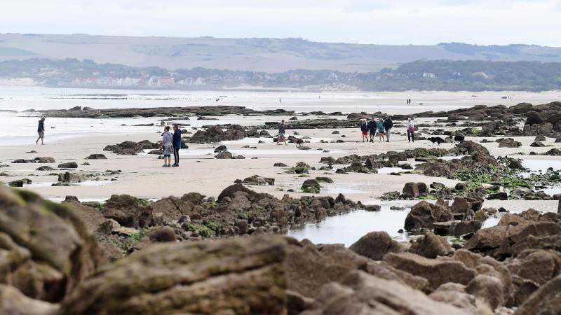 Balade naturaliste au cap Gris-Nez, pour une plongée dans le Jurassique Balade naturaliste au cap Gris-Nez, pour une plongée dans le Jurassique