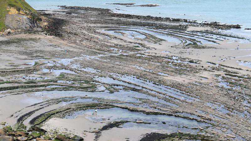 Balade naturaliste au cap Gris-Nez, pour une plongée dans le Jurassique Balade naturaliste au cap Gris-Nez, pour une plongée dans le Jurassique