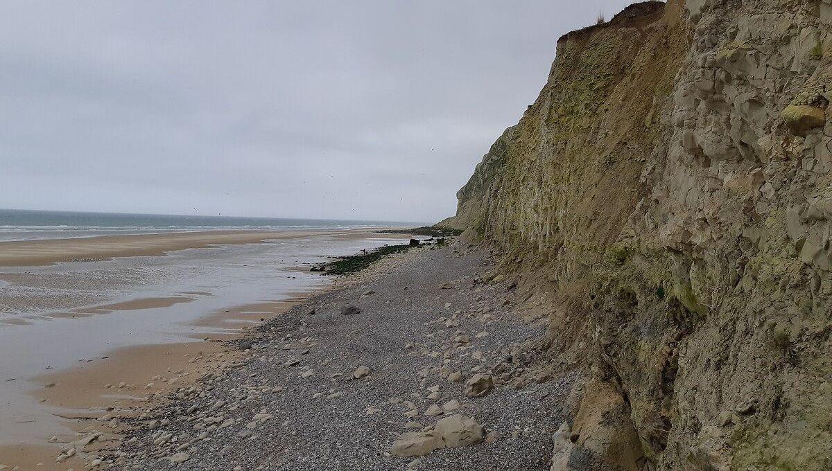 Côté d'Opale : attention aux espèces d'oiseaux qui nichent dans les falaises du Cap Blanc-nez Côté d'Opale : attention aux espèces d'oiseaux qui nichent dans les falaises du Cap Blanc-nez