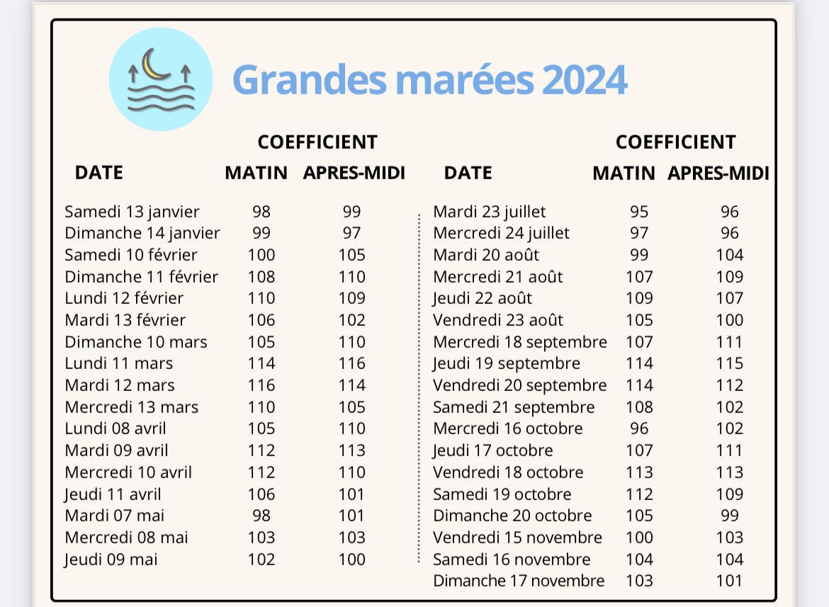 VIDÉO - Qu'est-ce que les grandes marées, ce phénomène en cours sur le littoral ? VIDÉO - Qu'est-ce que les grandes marées, ce phénomène en cours sur le littoral ?