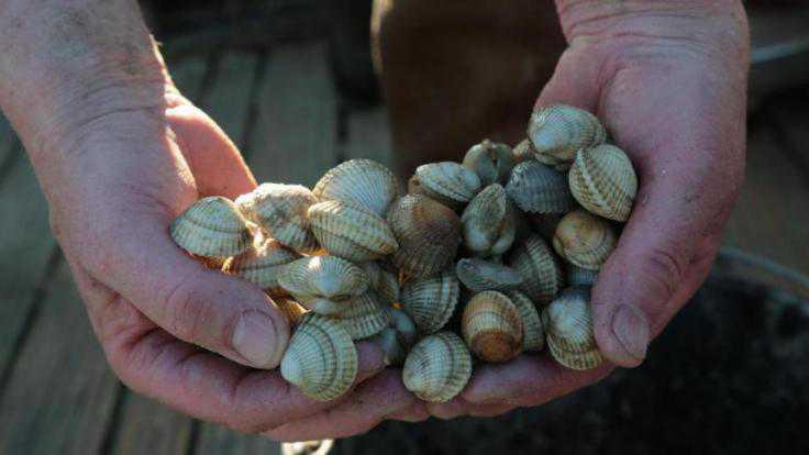 Côte d’Opale : l’article qu’il vous faut si vous venez cet été voir la mer Côte d’Opale : l’article qu’il vous faut si vous venez cet été voir la mer