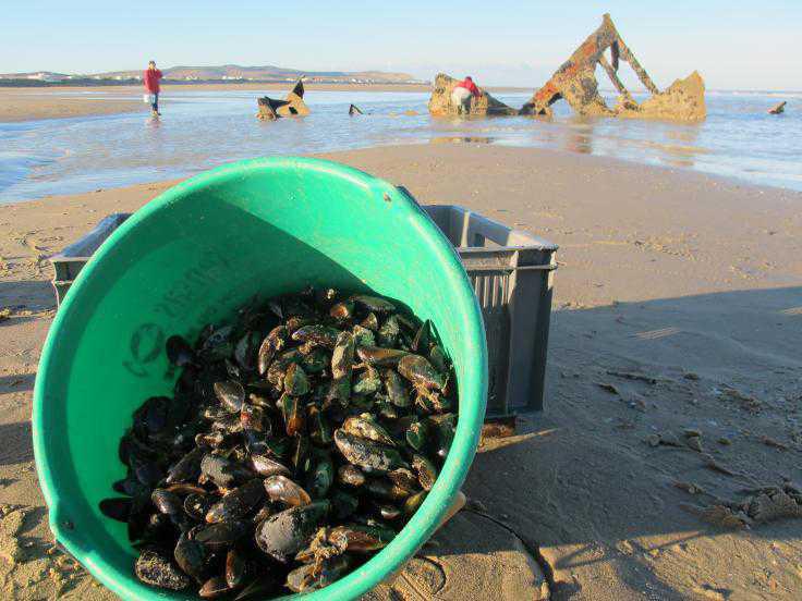 Côte d’Opale : l’article qu’il vous faut si vous venez cet été voir la mer