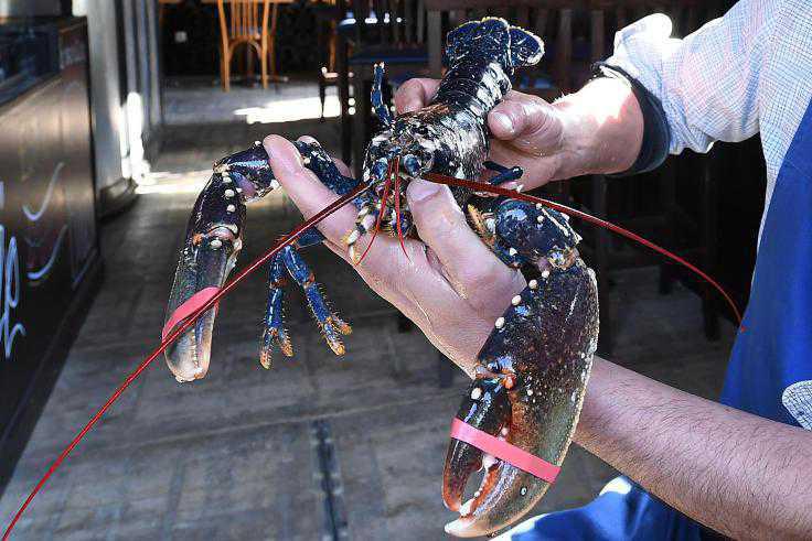 Audinghen : Festi’caps, une nouvelle fête dans le cadre sublime de la plage de la Sirène Audinghen : Festi’caps, une nouvelle fête dans le cadre sublime de la plage de la Sirène