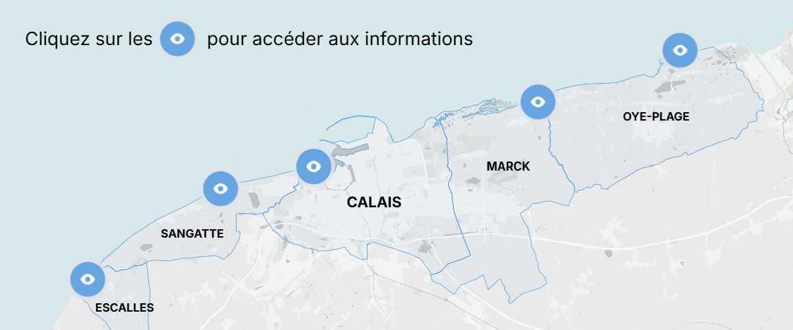 D’Escalles à Oye-Plage, sur quelles plages peut-on promener son chien cet été ?