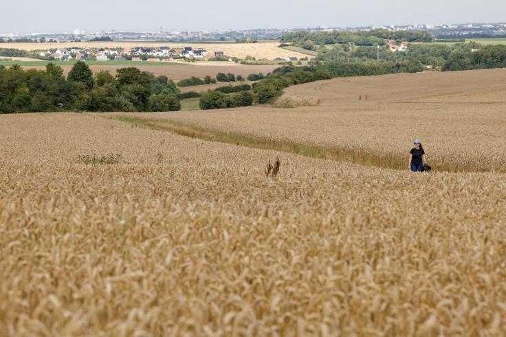L’impressionnante forteresse nazie enfouie sous une colline du Boulonnais et ses balades alentour L’impressionnante forteresse nazie enfouie sous une colline du Boulonnais et ses balades alentour