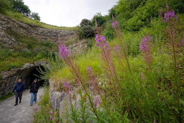 L’impressionnante forteresse nazie enfouie sous une colline du Boulonnais et ses balades alentour L’impressionnante forteresse nazie enfouie sous une colline du Boulonnais et ses balades alentour