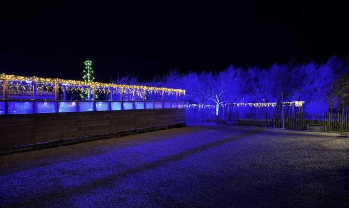 La brasserie L’Estival à Audinghen ne peut se louper avec son océan de loupiotes