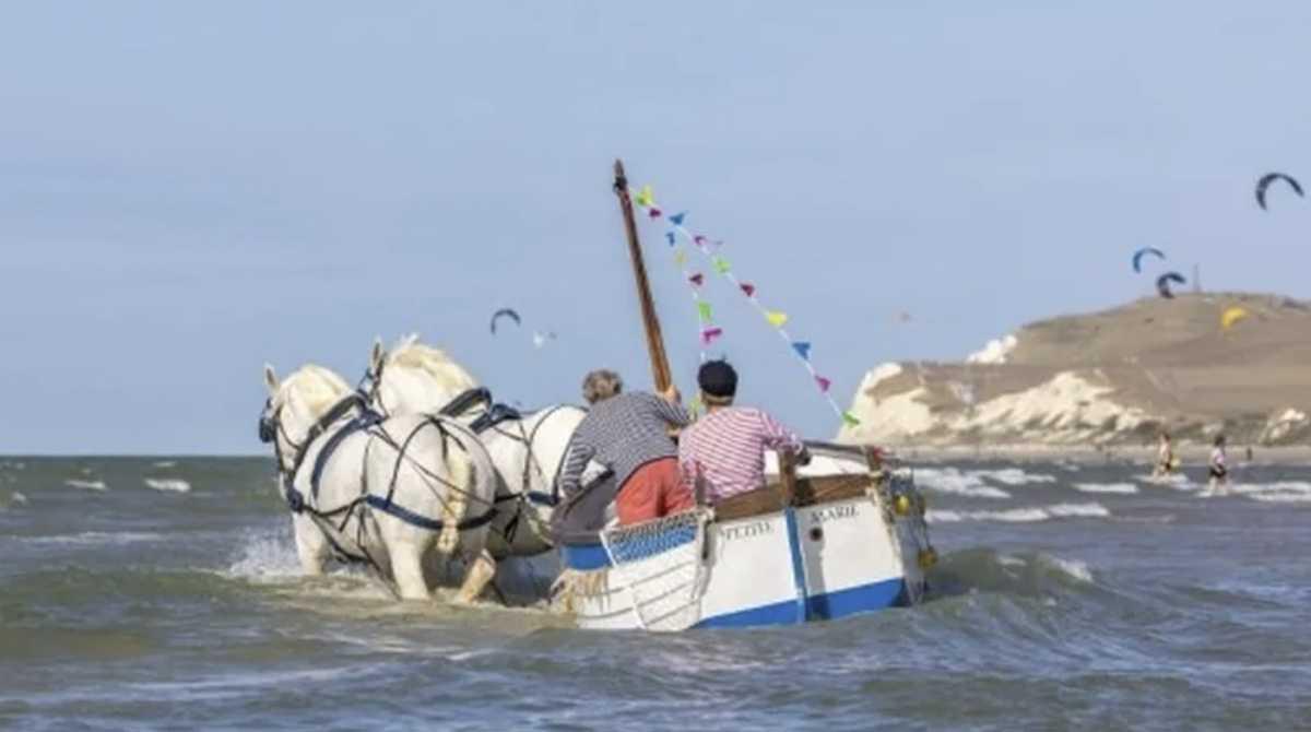 "Cela va bénéficier à tout le littoral", le Cap Blanc-Nez, première destination européenne à visiter en 2026 "Cela va bénéficier à tout le littoral", le Cap Blanc-Nez, première destination européenne à visiter en 2026
