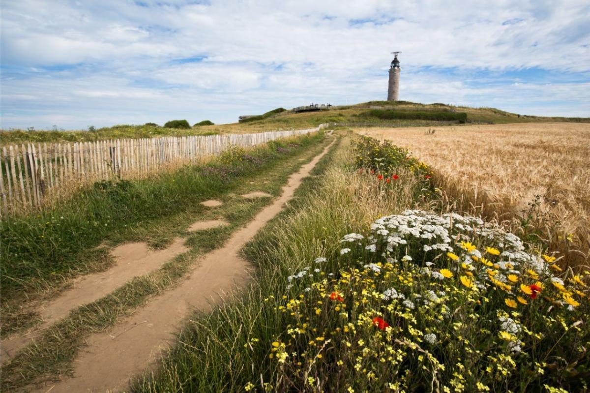 Que faire, que visiter à Wissant ? Les 10 endroits qu'on a préférés en 2026 Que faire, que visiter à Wissant ? Les 10 endroits qu'on a préférés en 2026