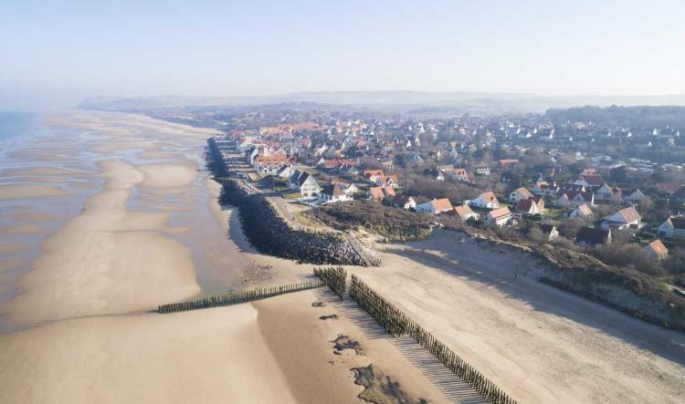 Un sapin pour ma dune à Wissant