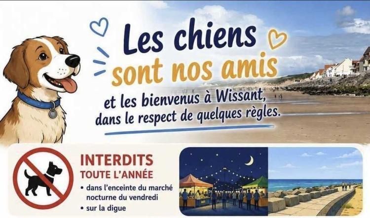 Info pratique: les chiens à Wissant