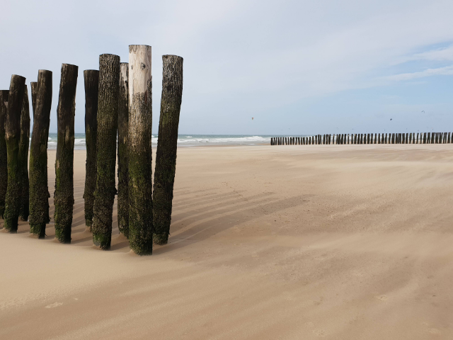 Wissant_ vos plus belles photos - 101