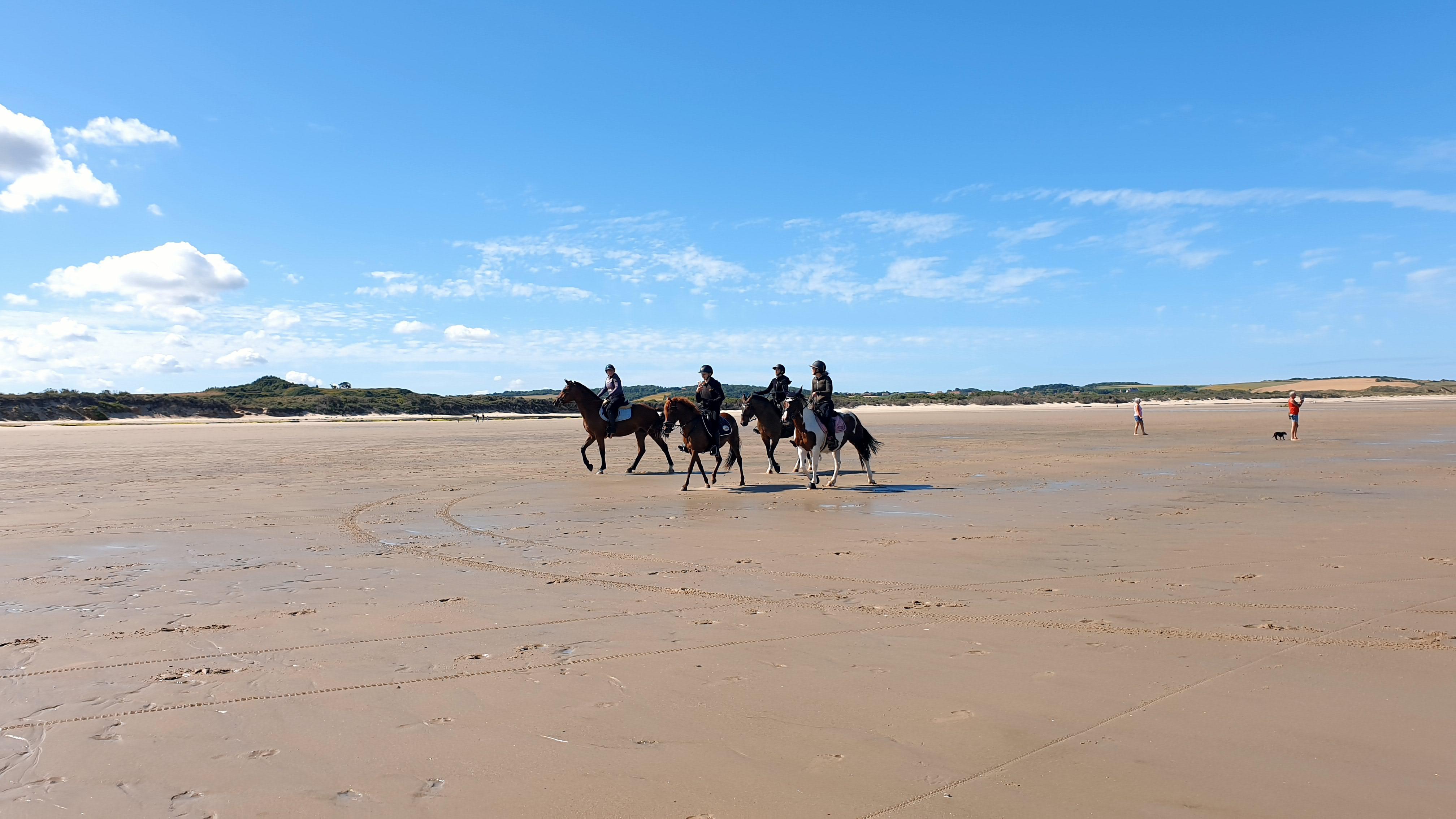 Balade à cheval 