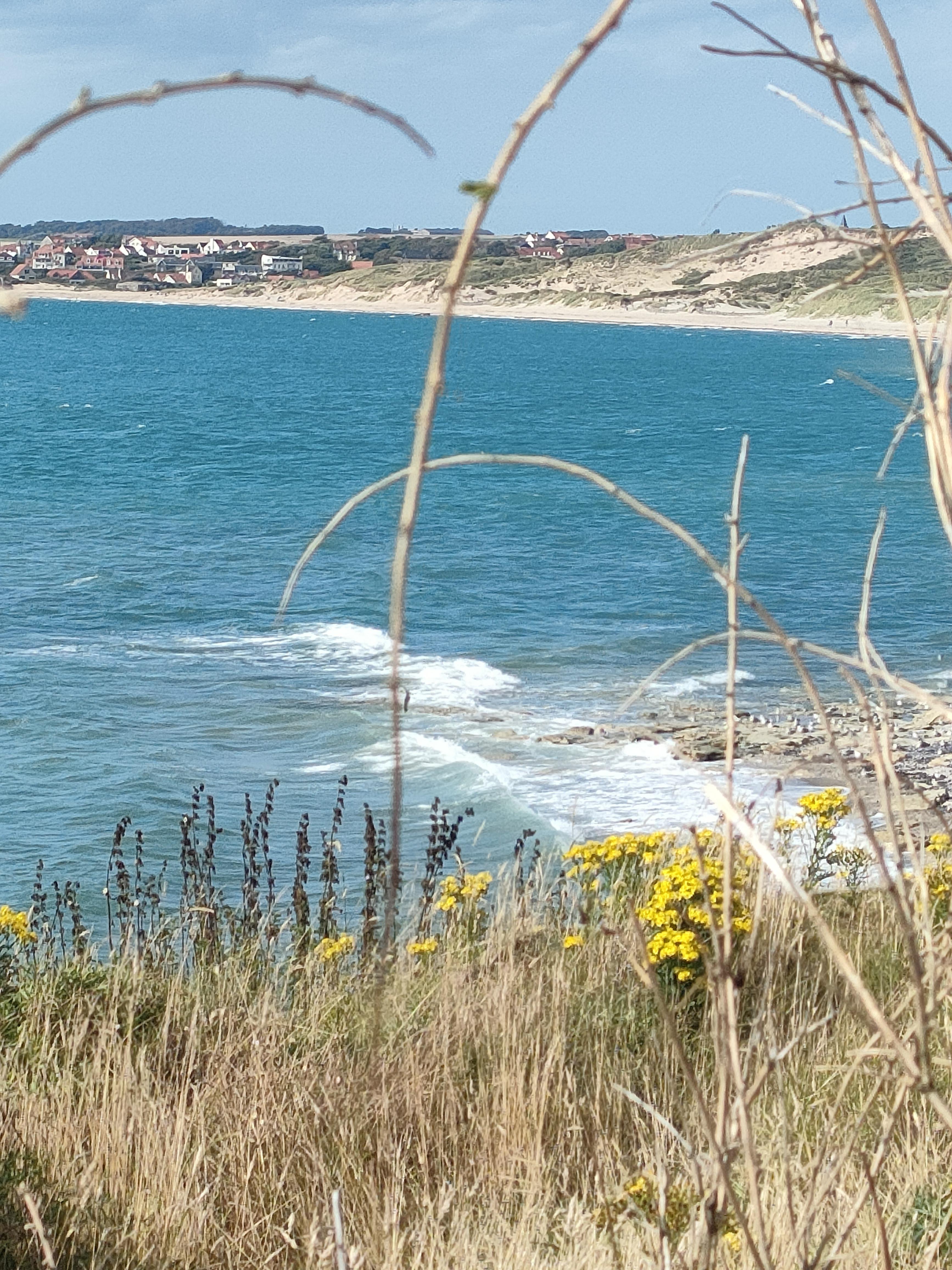 La pointe aux oies