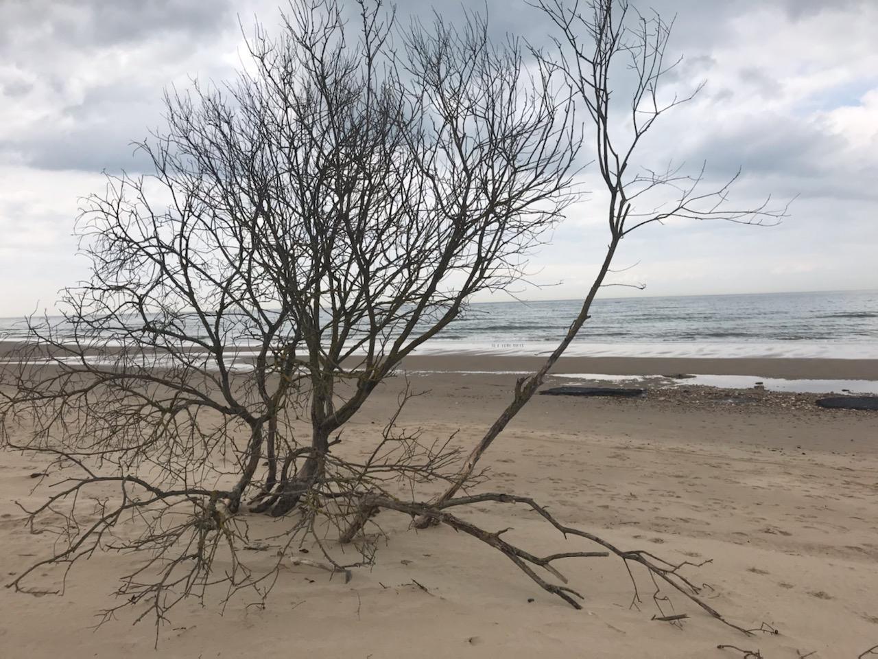 Pour combien de temps va t’il résister aux assauts de la mer ????