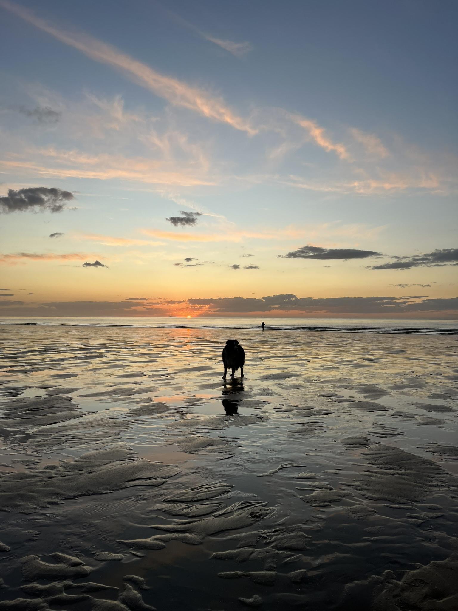 Reflets au couchant