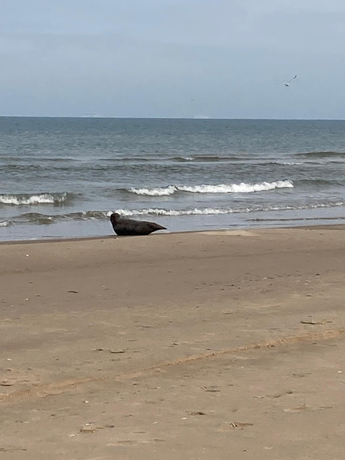 Seul sur la plage