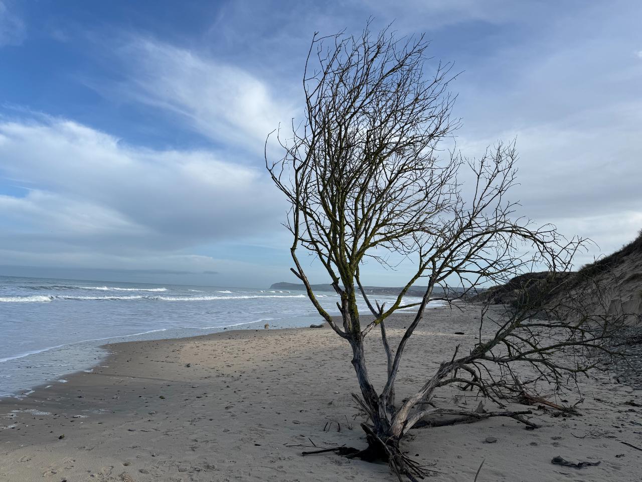Balade Gris Nez vue vers Blanc Nez