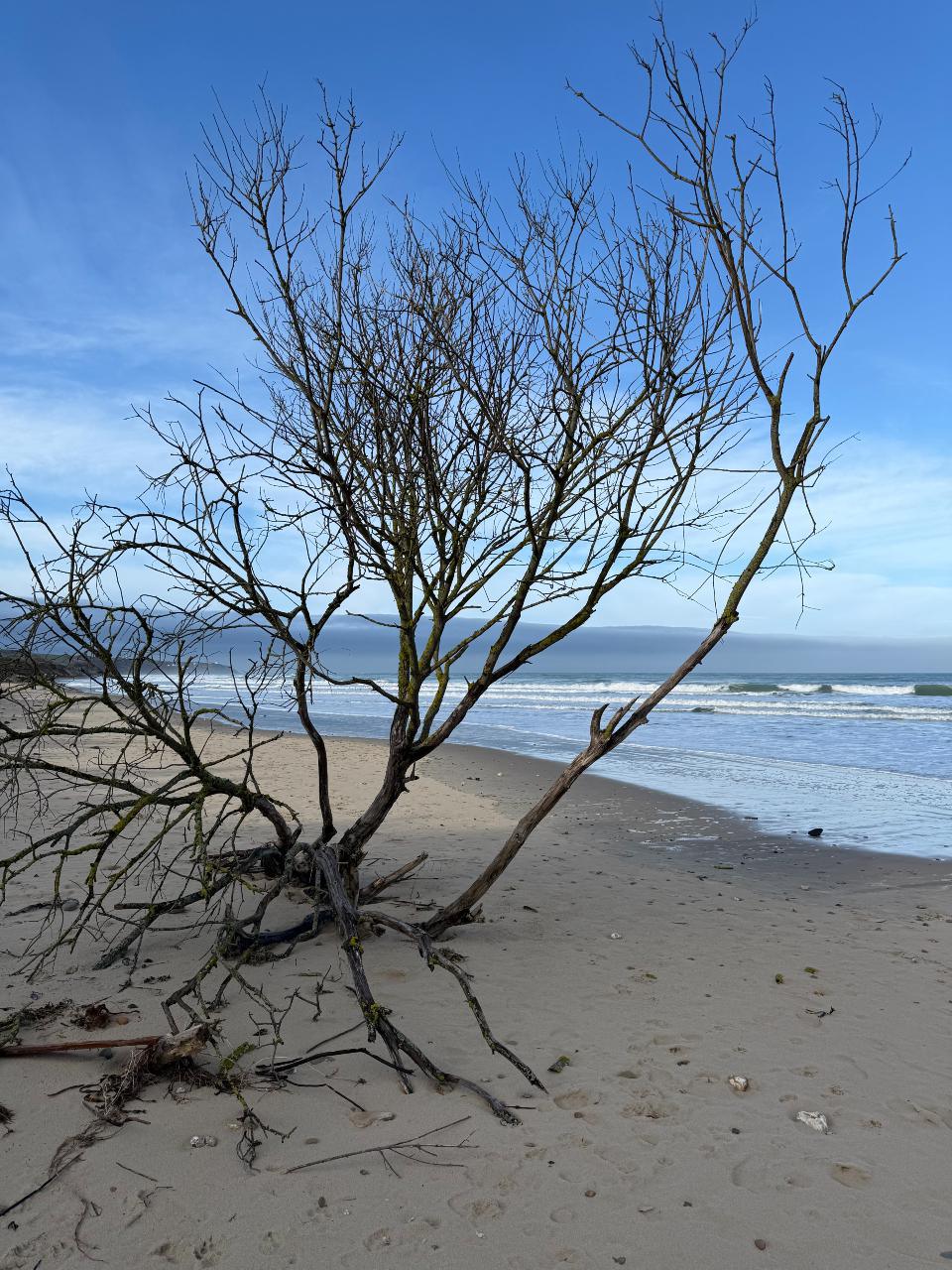 Balade vers Gris Nez vue Gris Nez