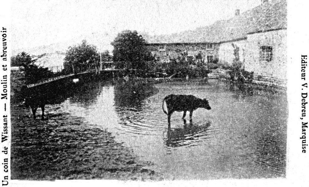 wpas Mv village 90