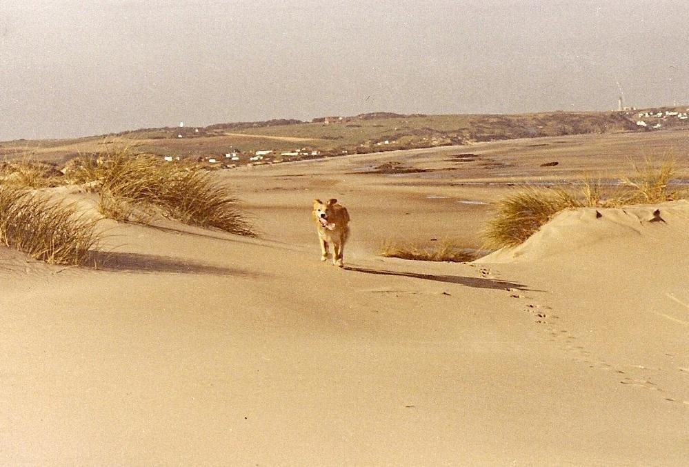 Plage920 Ancienne Dunes Blanches Wissant