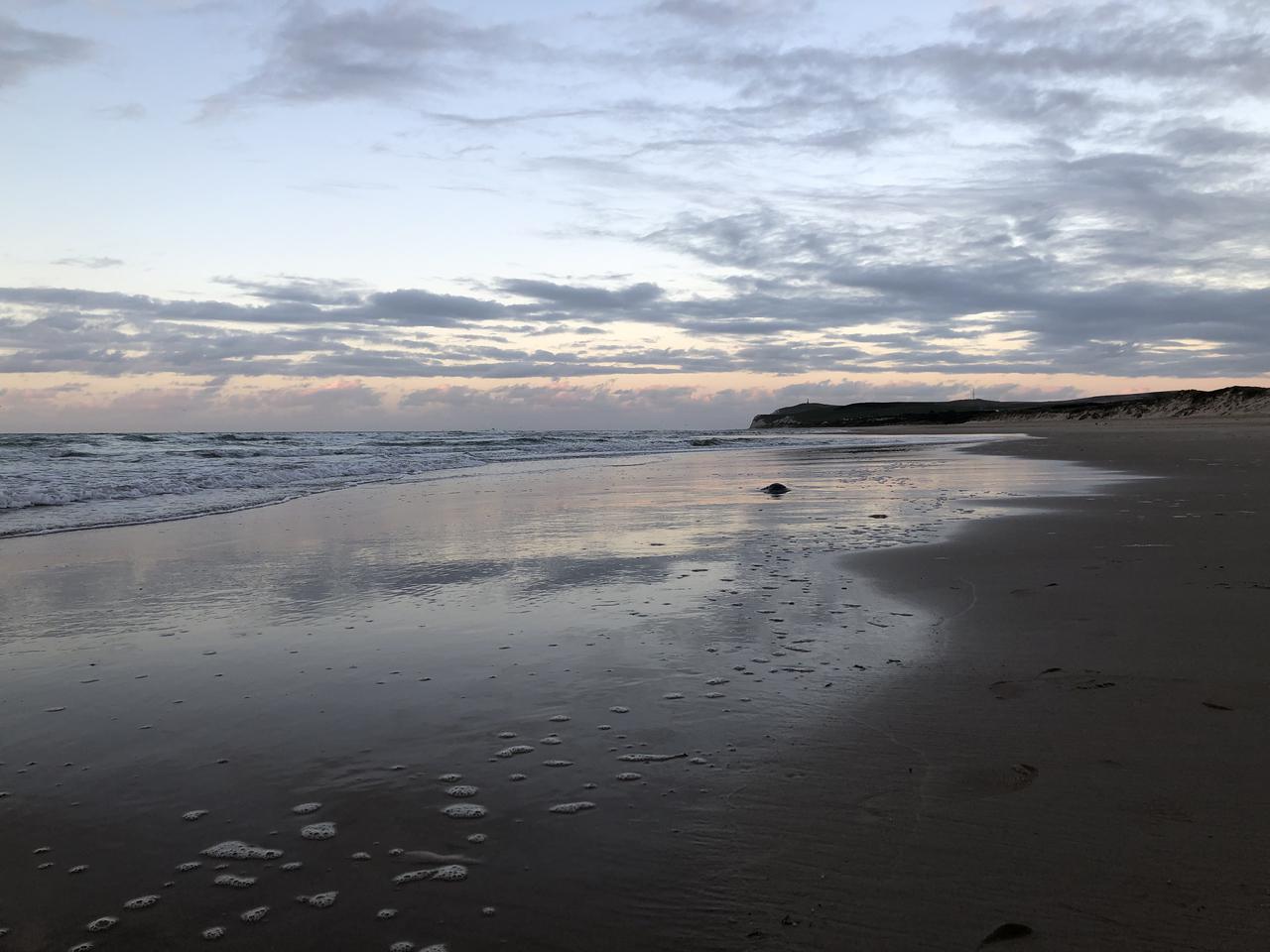 Plage de Wissant vers le Cap Blanc Nez
