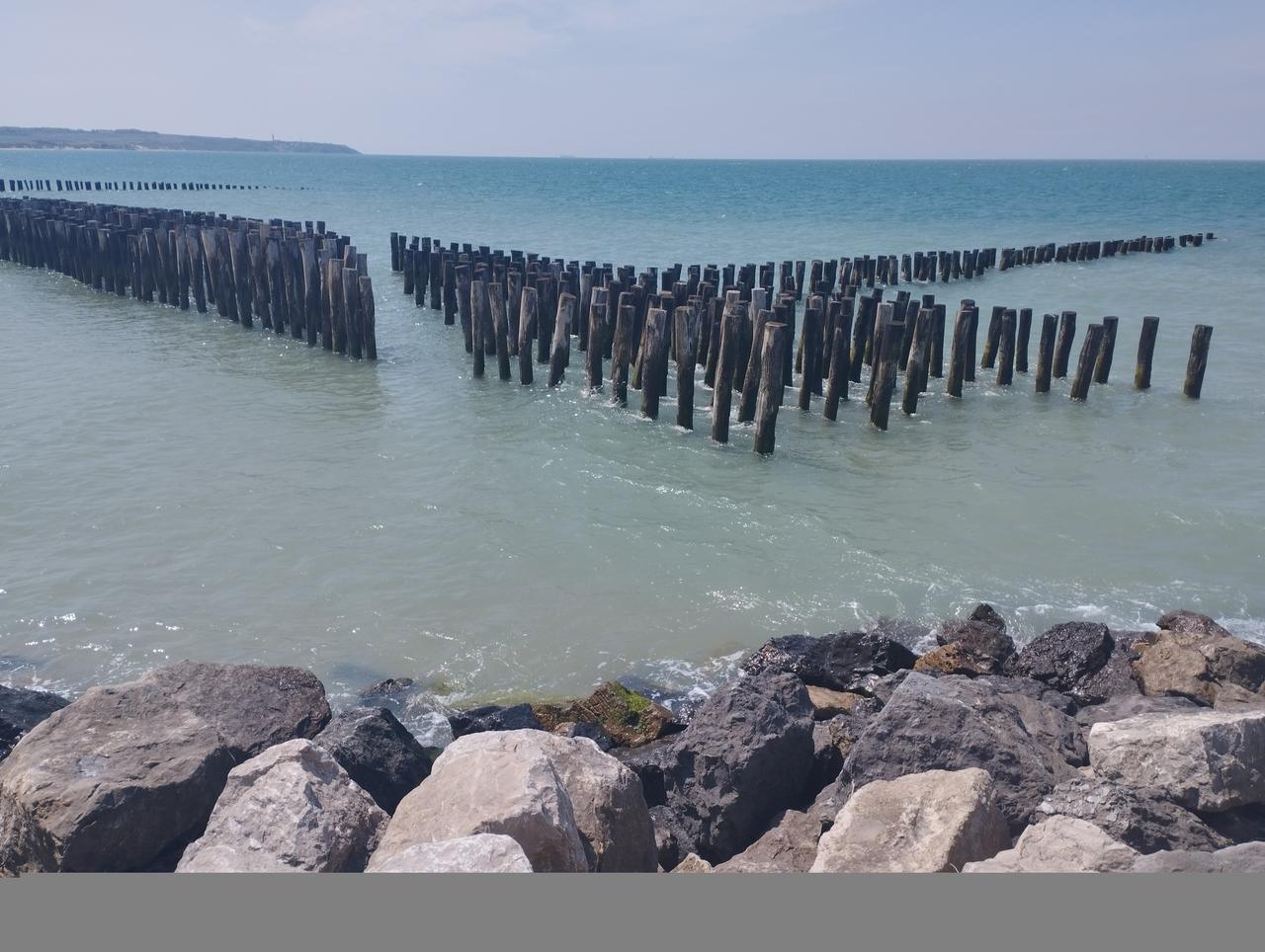 Les pics à moules