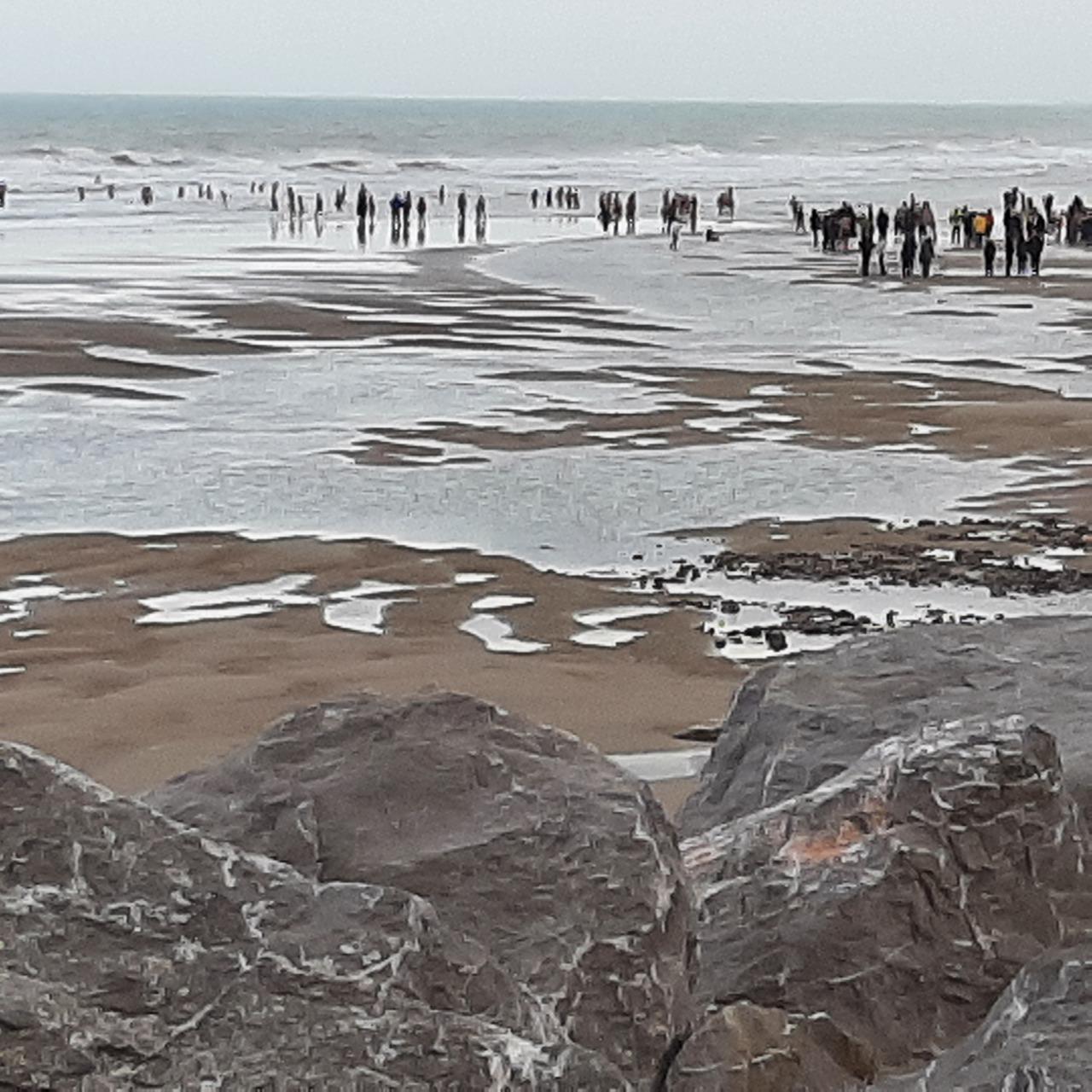 Bain du 1er janvier