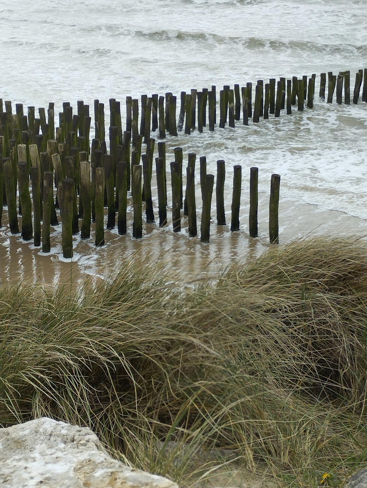 Brise vague