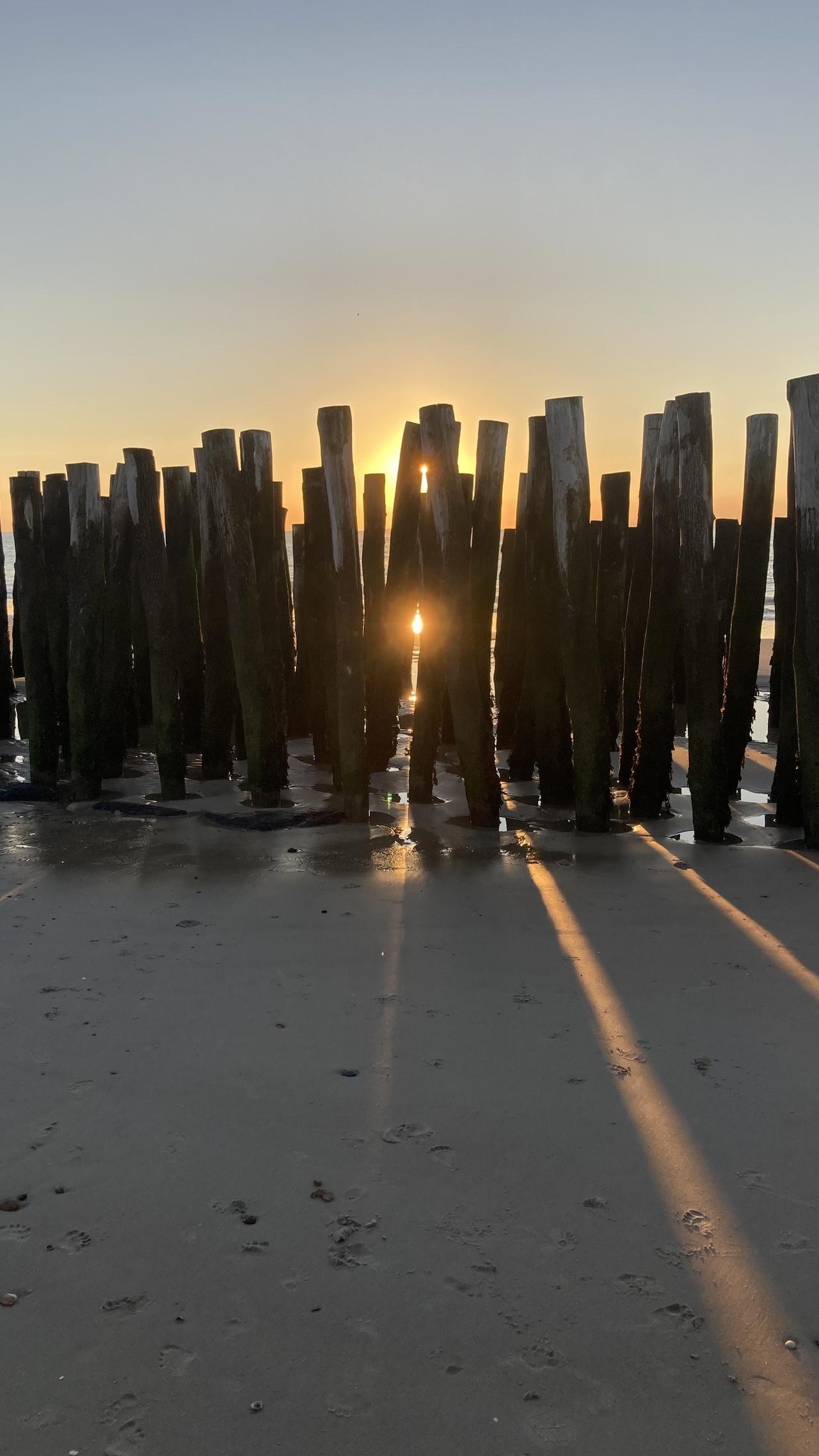 Coucher de soleil 