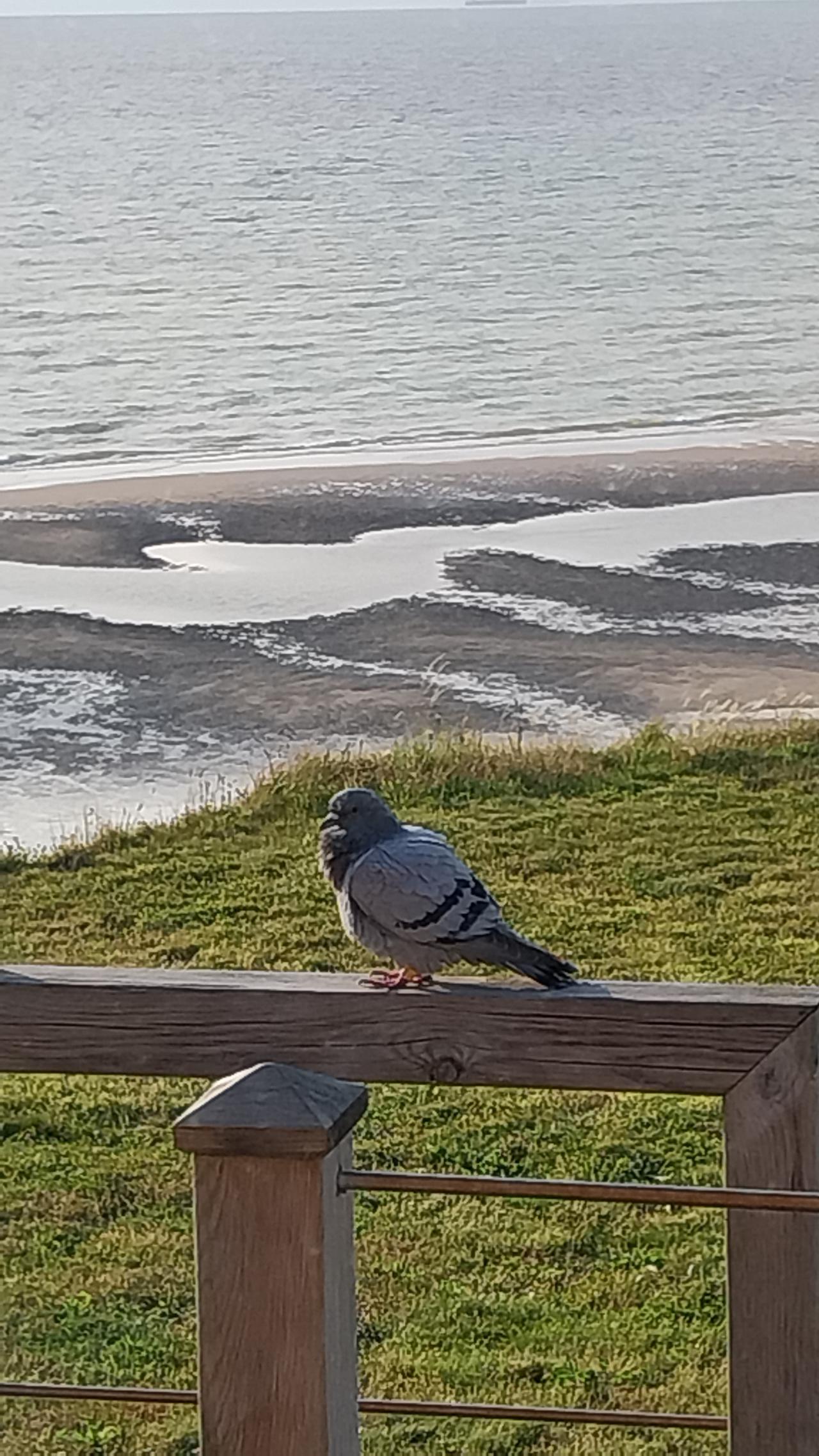 Un petit peu de repos après la traversée