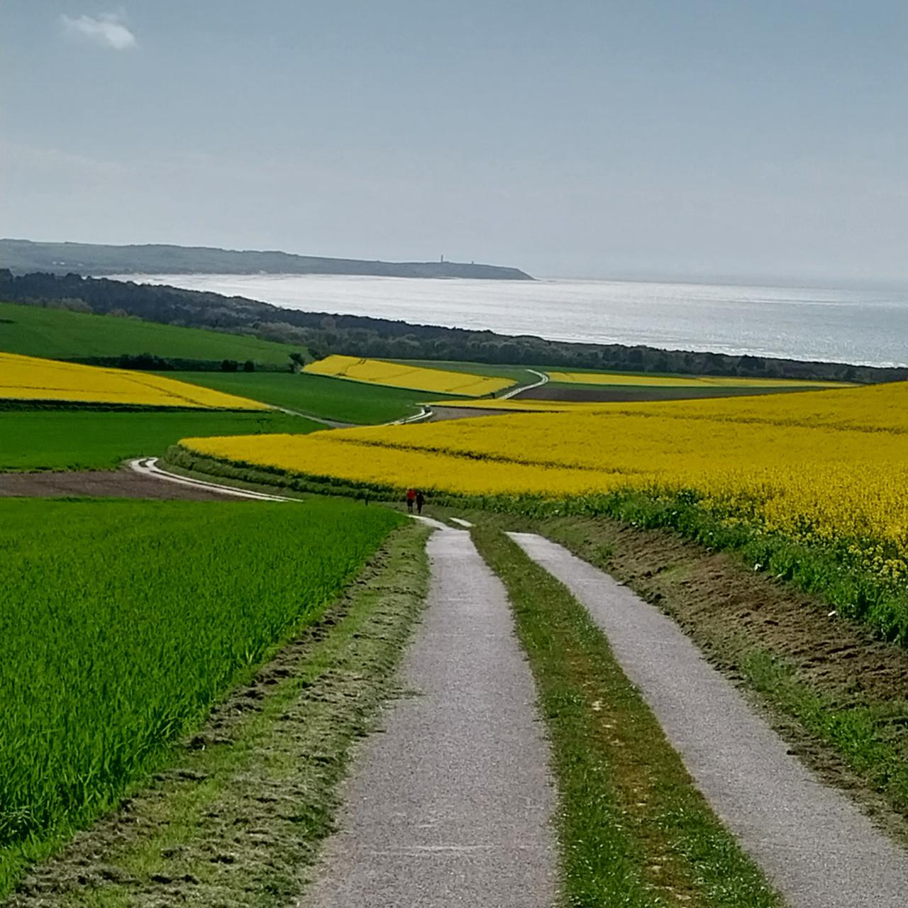 Vue sur la baie