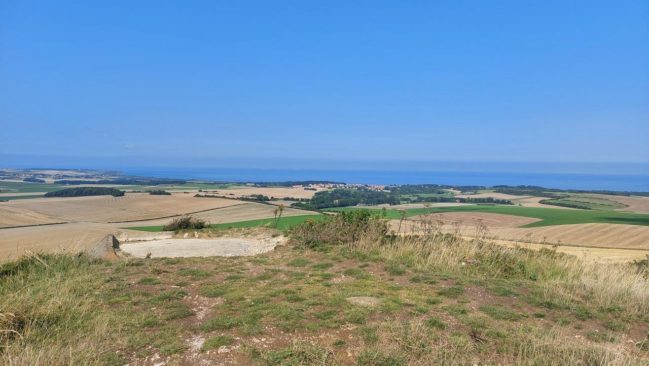 4665985-laurence-sartiau-20240817_111750