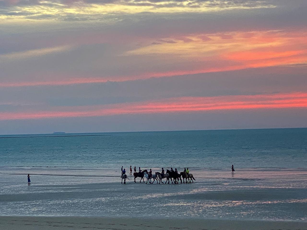 4715067-brigitte-schmitz-heller-img_9095-chevaux-a-la-plage